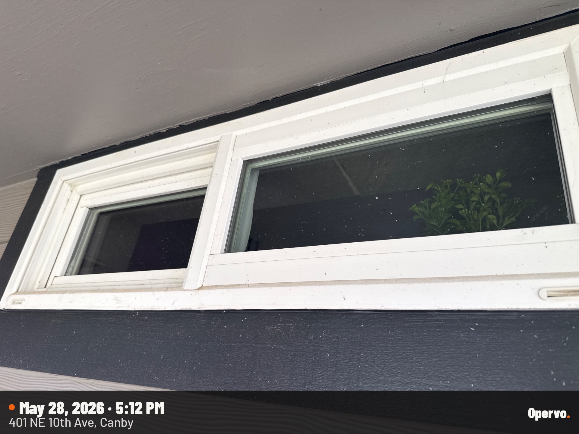 Window Cleaning
